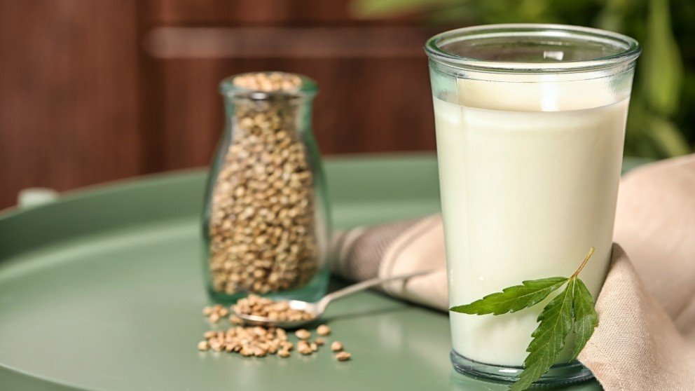 Leche de Cáñamo